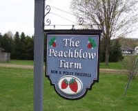[Pictures of Peachblow Farm]